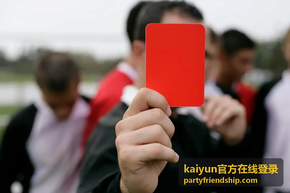 kaiyun官方在线登录 功能使用说明封面