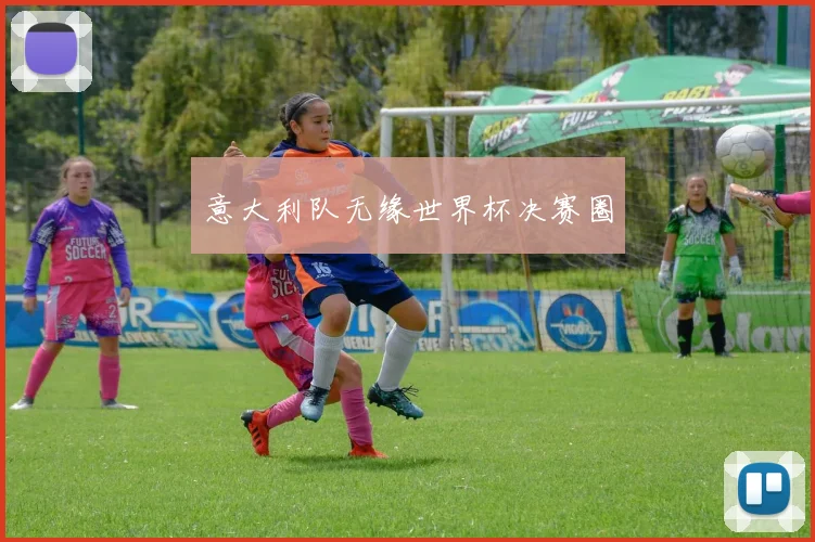 意大利队无缘世界杯决赛圈