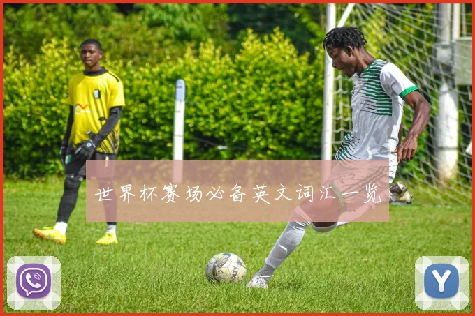 世界杯赛场必备英文词汇一览