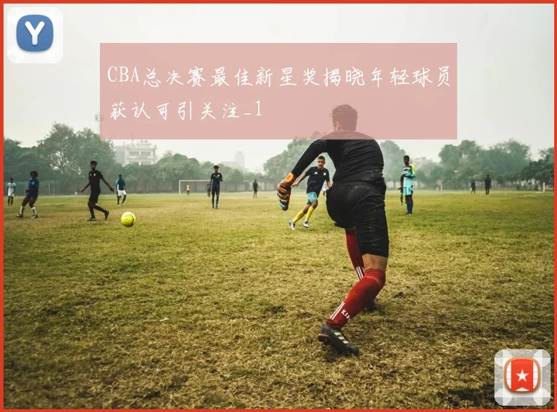 CBA总决赛最佳新星奖揭晓年轻球员获认可引关注_1